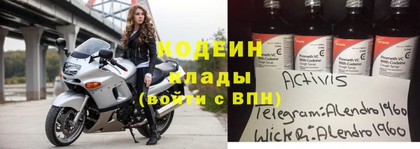 индика Нягань