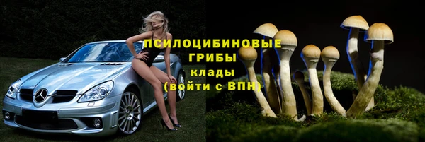 крисы Нязепетровск