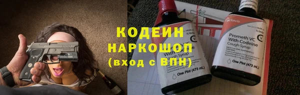 индика Нягань