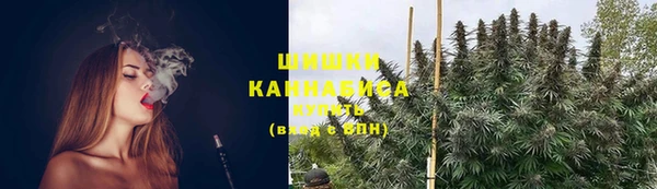 индика Нягань
