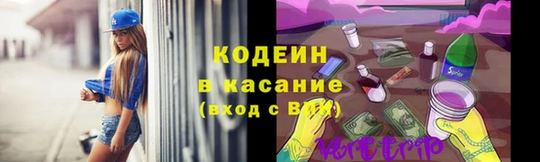 крисы Нязепетровск