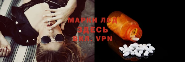 индика Нягань