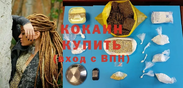 индика Нягань