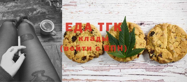 индика Нягань