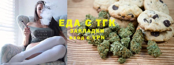 индика Нягань