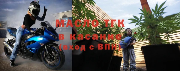 индика Нягань