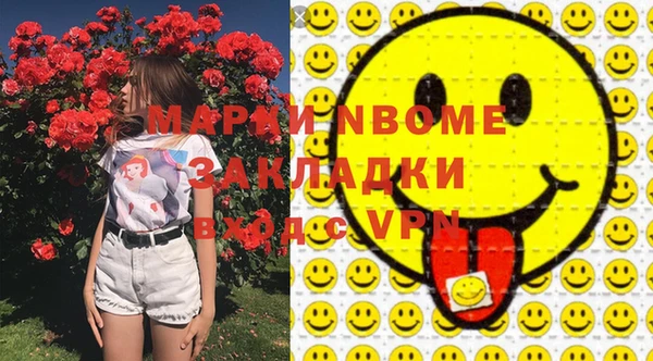 индика Нягань