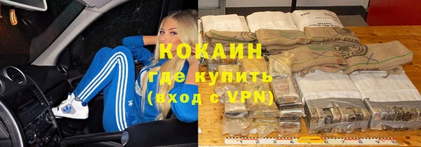 СК Няндома