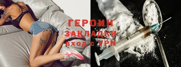 индика Нягань