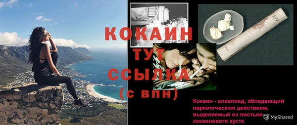 СК Няндома
