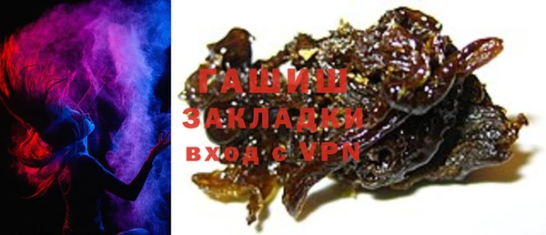 индика Нягань