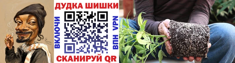 Купить где Калач-на-Дону МАРИХУАНА марихуана
